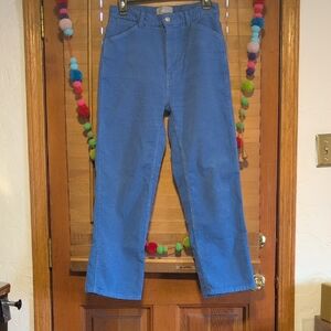 Everlane Womens Velvet Like Blue Pants